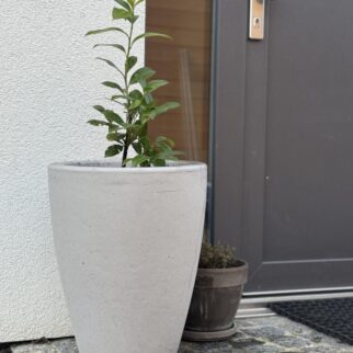 KVĚTINÁČ BELLA I.