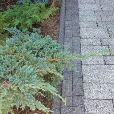 OBRUBNÍK PARKOVÝ 100 / 8 / 20